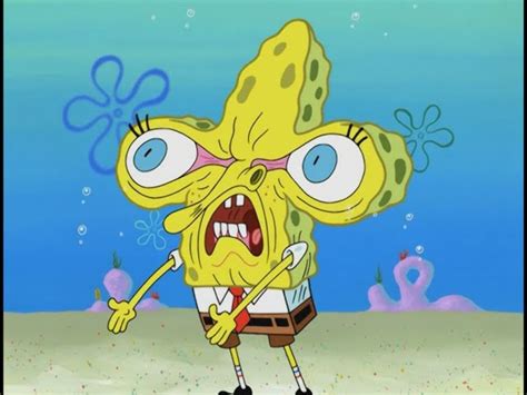 funniest spongebob faces|More.